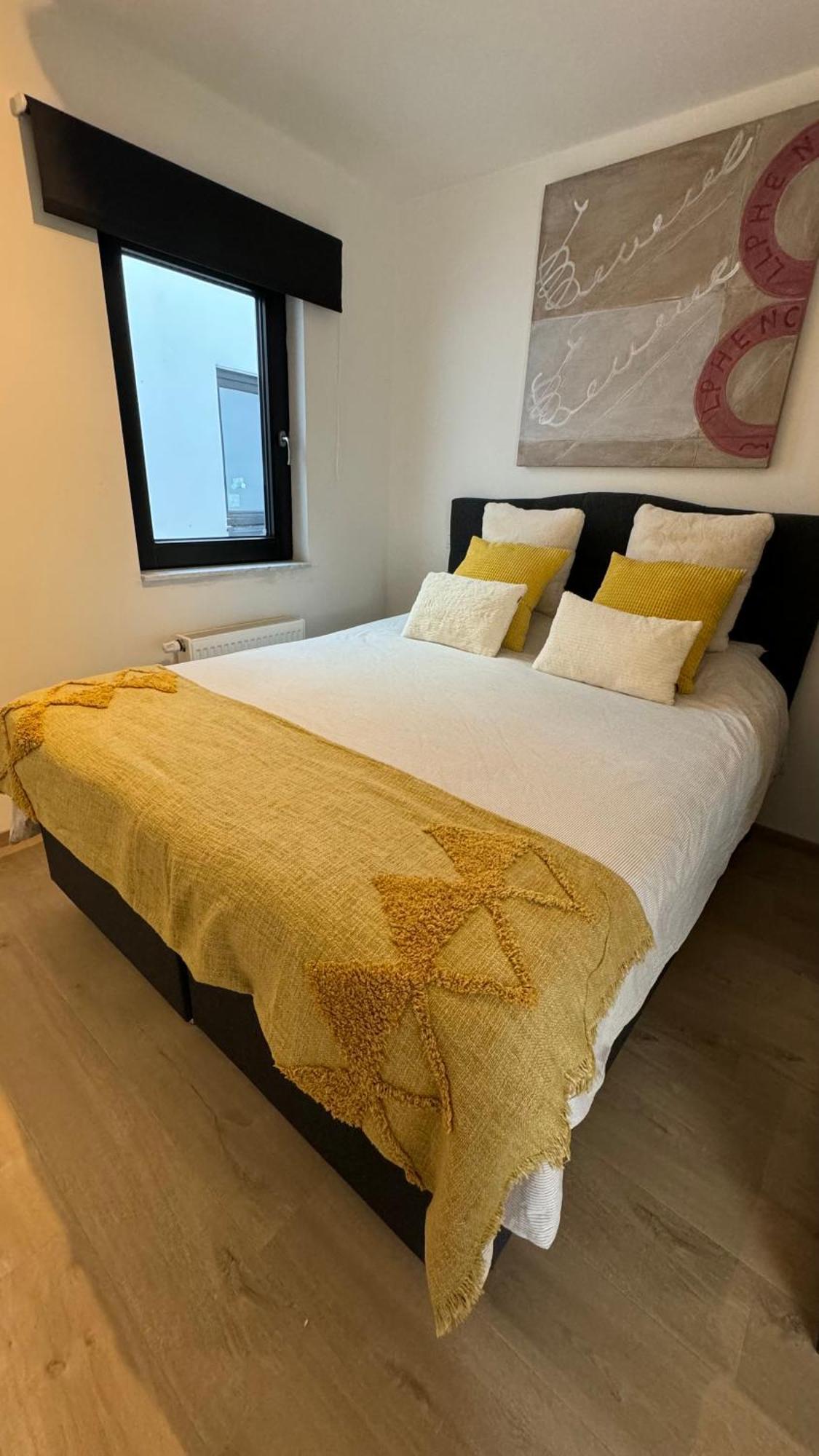 شقة Viki'S Penthousje بلانكنبرخ المظهر الخارجي الصورة